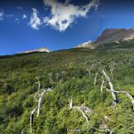 Las Torres del Paine es una de las Maravillas latinoamericanas que puedes visitar