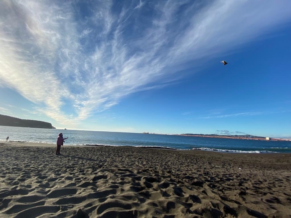 Fotografía playa Caleta Lenga