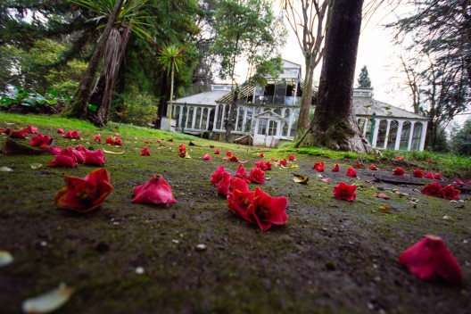 Parque Isidora Cousiño, conservatorio de plantas