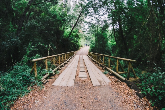 Fotografía Parque Nacional Nonguén