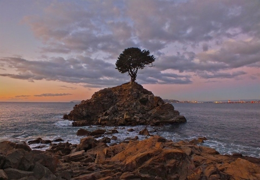 Fotografía Santuario de la Naturaleza Península de Hualpén