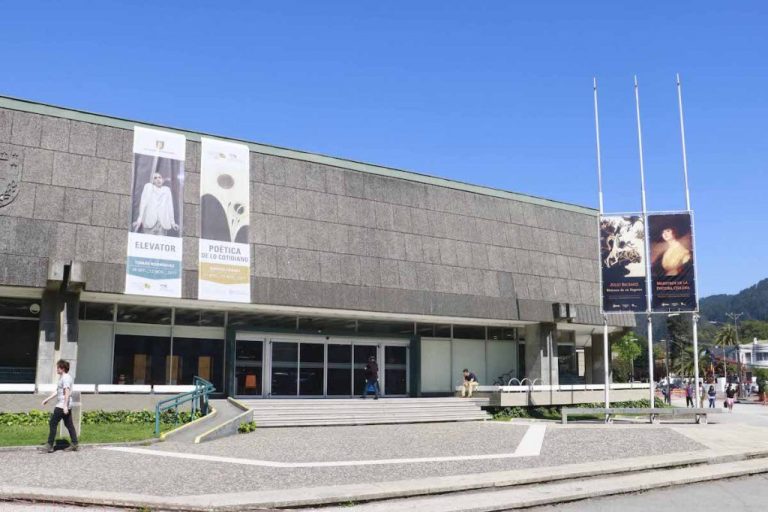 ambiente de la Pinacoteca por fuera