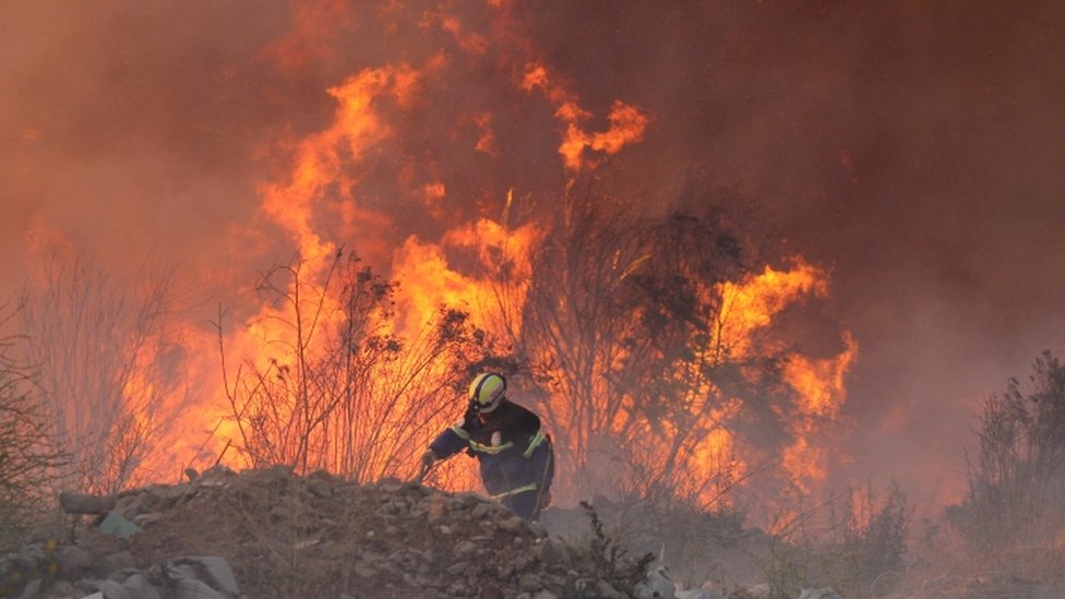 Serie de incendios forestales en la zona central de Chile. Sus consecuencias en la salud y medio ambiente aún no son seguro, pero sí agravarán los efectos del cambio climático en chile.