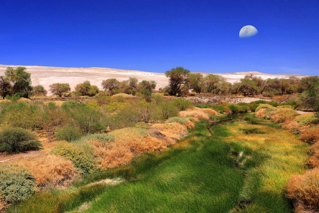 Río Loa a la altura de Quillagua, lugar más seco del mundo.